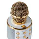 Bluetooth Karaoke Microphone with Speaker - Assorted