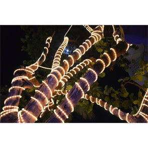 Lytworx 8m Warm White LED Connectable Rope Light With Timer