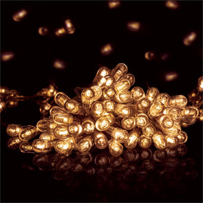 Lytworx 100 LED Warm White Low Voltage Vintage Bud Fairy Lights