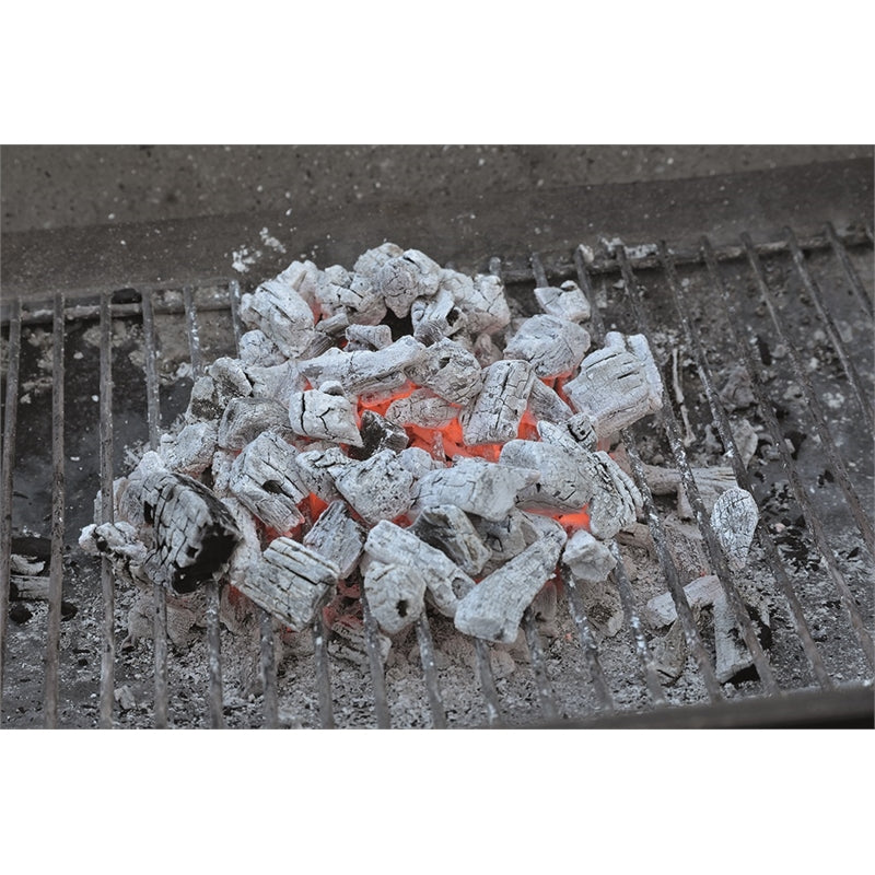 Char-Griller Electric Charcoal Starter Quick Lighting - TheITmart