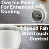 Arlec 10cm DC Desk Fan with Light, Ice Pack and Aromatherapy - TheITmart