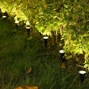 Click 6.6cm Black Mini Solar Spotlights/Waterproof Warm White 10 Pack