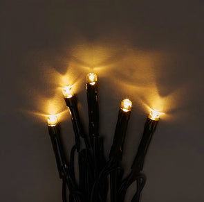Low Voltage 250 LED Warm White String Lights / 8 Functions / Indoor Or Outdoor