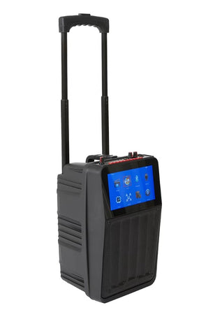 Rechargeable Portable Karaoke Machine With LCD display & Wireless Mic