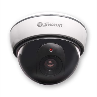 Swann Dome Imitation Camera With Flashing Light - White & Black - TheITmart